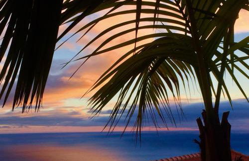 Casa Lira - Photo 40