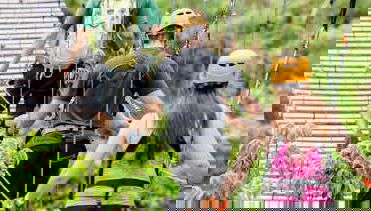 Pontes suspensas no Toro Verde Eco Adventure Park