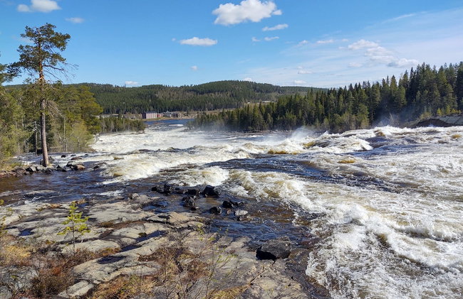 Lagomhuset - A Peaceful Holiday In Swedish Lapland - Foto 12