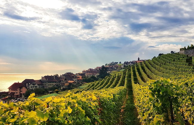 Montreux holiday home - Foto 35