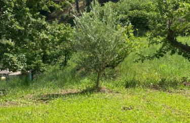 Tenute Lomasi - Villa vicino Cefalù con piscina - Foto 4