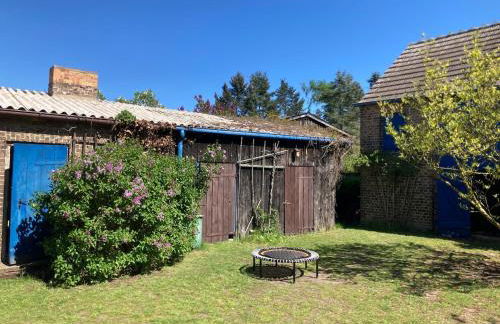 Naturidylle mit Kamin und Sauna in der Schorfheide - Foto 10