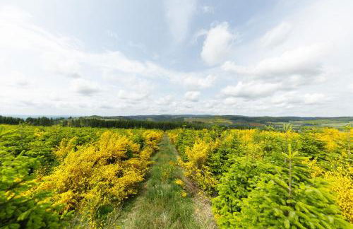 Chalet Sonnenhügel - Foto 22