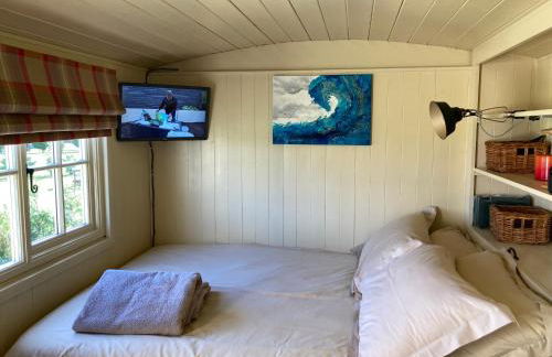 The Rowan Shepherds Hut - Photo 10