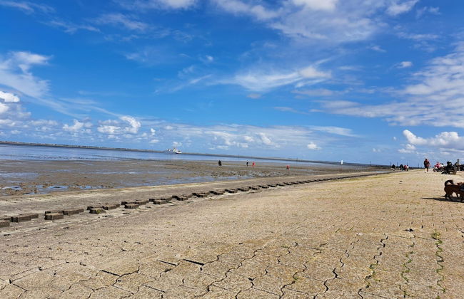 Ferienwohnung in Nesse - Foto 21