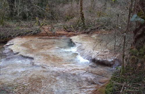 Gite Le bout du monde - Foto 13