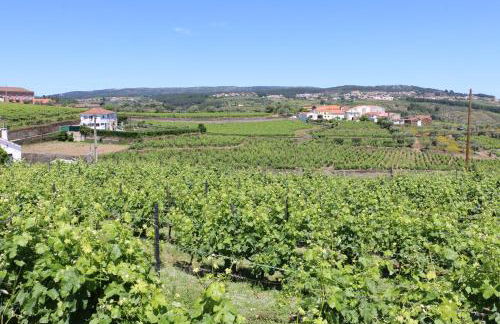 Solar dos Avós - Foto 46