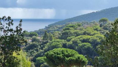 La Mandorla Salata - Foto 5