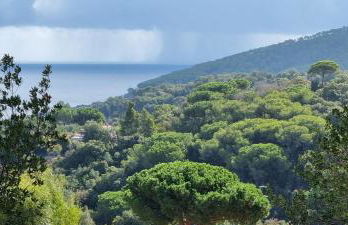 La Mandorla Salata - Foto 5