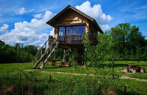 Baumhaus Heuhütte - Foto 74