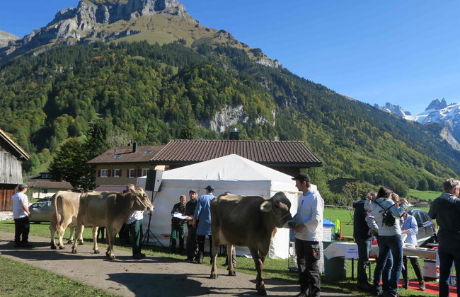 Chalet Heureka-Horbis - Photo 11