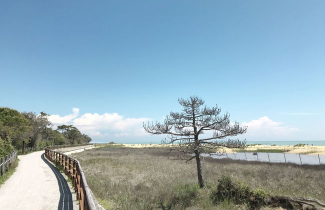 Iris Suite - Foto 21