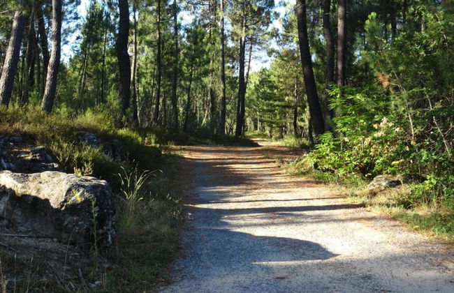 Authentic Stone Mas Retreat - Foto 34