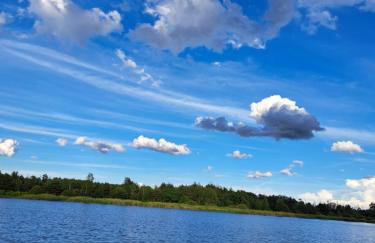 Blick zum See - Foto 15