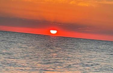 Villa Fiorentino - Photo 52