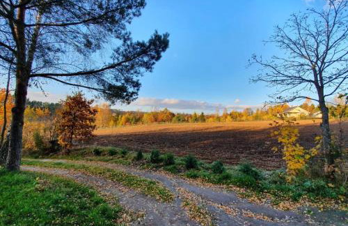 Sielski Domek Na Wzgórzu - Foto 5