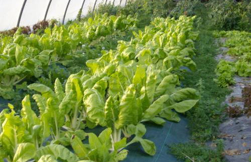 Casa Rural Aristondo Agroturismo - Foto 56