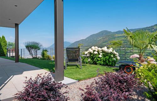 New Opening Vinea Guesthouse - Foto 48