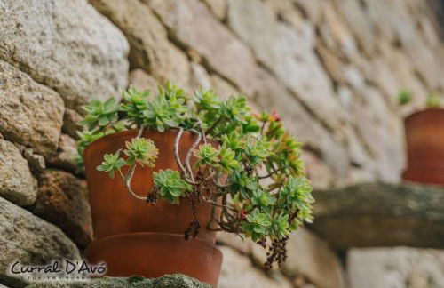 Curral D'Avó Turismo Rural & SPA - Foto 46