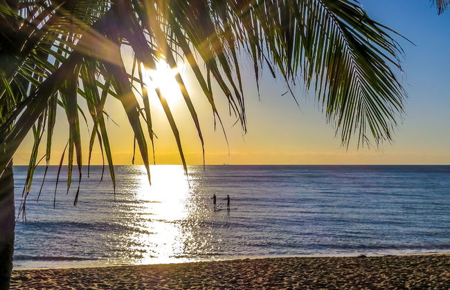 Roydon Beachfront Apartments - Photo 1