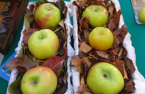 La Casa Gran - Foto 21