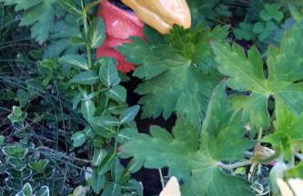 Apartment Am Marsfeld by Interhome - Foto 20