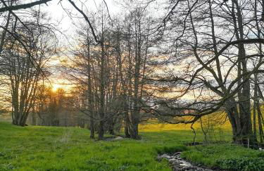 Landschule Rhön - Foto 40