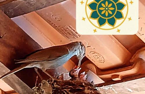 Casa Amarela Ecoloft Brasil 88 - Foto 59