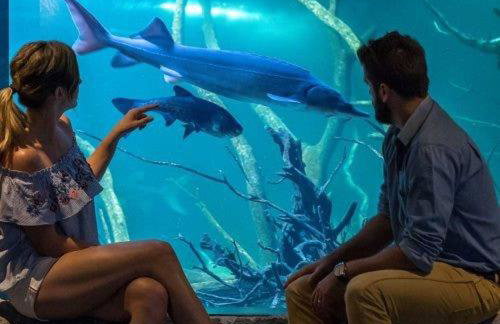 Holiday Home Ille - Foto 55