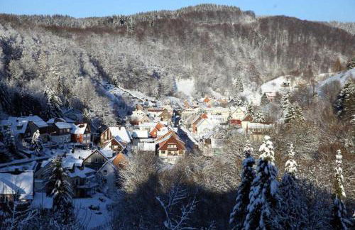 Ferienwohnung Lerbachtal R3 - Foto 8