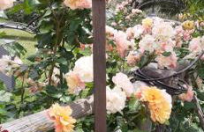 Al Crepuscolo Agriturismo - Foto 105