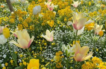 Schöne Wohnung in der Altstadt - Foto 52