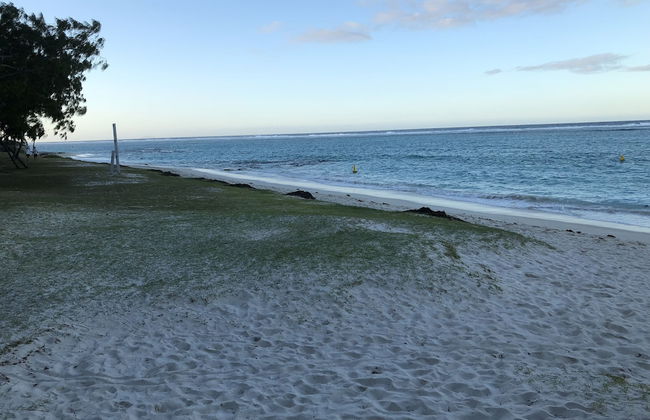 Sugareef 3-bed Apartment in Flic en Flac - Photo 21