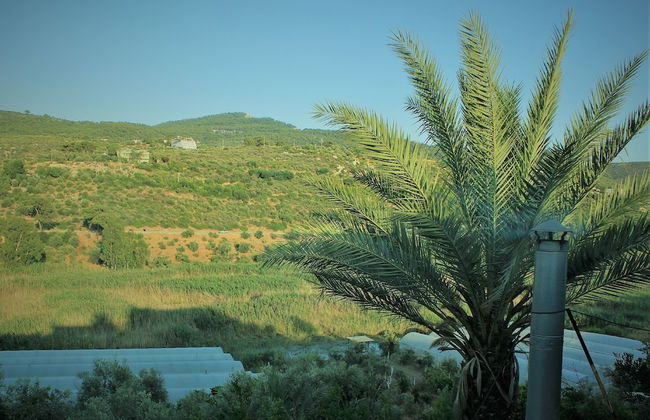 Lotus Patara Apart - Foto 31