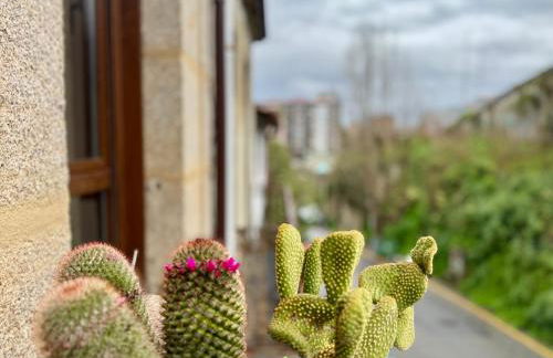 Oasis De Confort Urbano Vigo - Foto 57