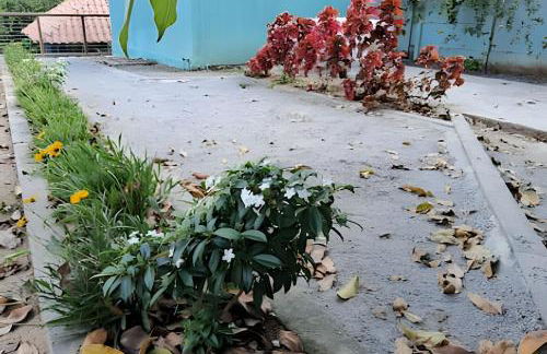 Bosque dos Camarás - Flats Residence - Foto 31