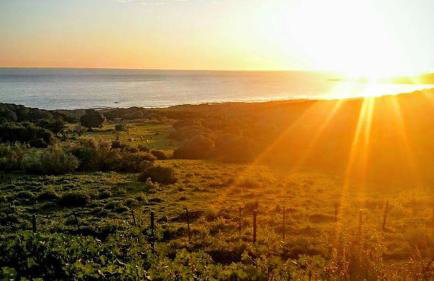 Charming house with sea and mountain views in El Chaparral - Foto 7