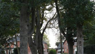 Woodleighton Cottages - Foto 2