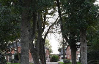 Woodleighton Cottages - Foto 2