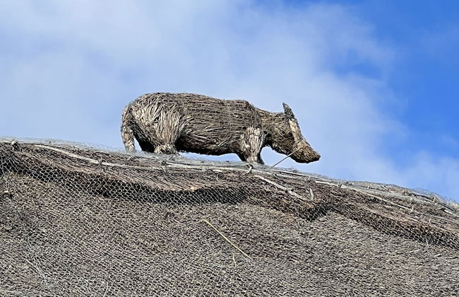 Mole Cottage - Foto 57