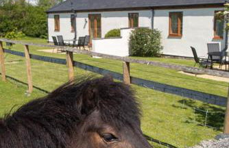 Carnedd Cottage - Foto 8