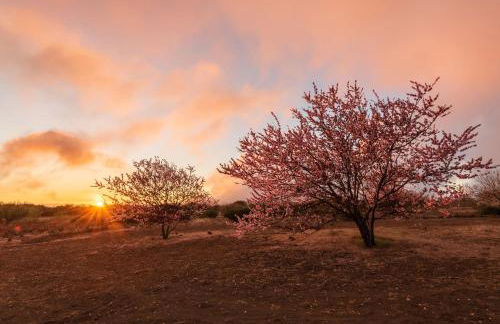 Casa La Cañada - Foto 29