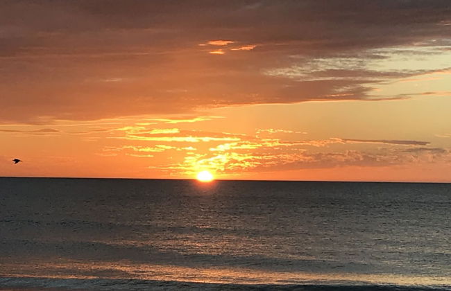 Rad's Cozy Cottage on Canal - Foto 40