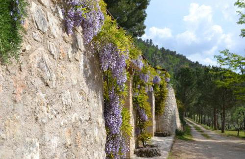 Agriturismo Istrice Innamorato - Photo 72