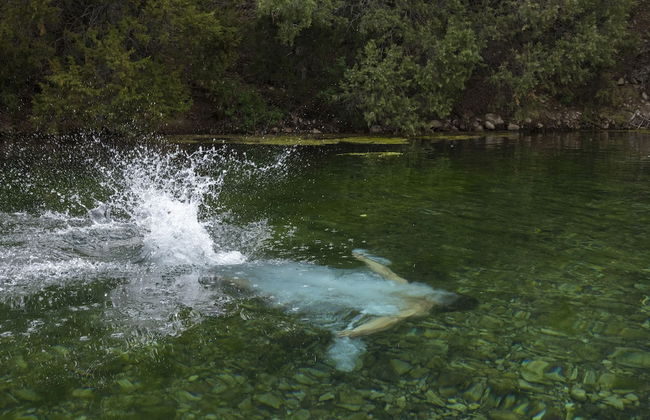 3 Spear Ranch - Foto 20