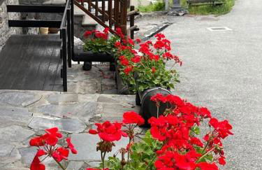 La Bombetta Gialla di Elisa e Marco - Photo 7