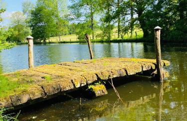 Les gites Romeline - Foto 39