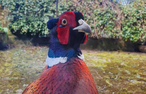 Dannah Farm Country House - Foto 26