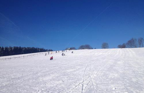 Villa Holgenbach - Penthouse und Ferienwohnung im Nationalpark Eifel - Foto 48