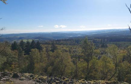 Rustikale Wanderhütte am Angelteich - Foto 18